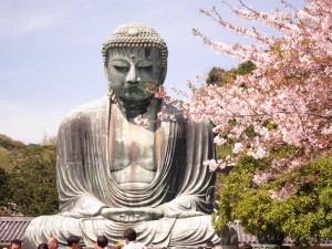 Kamakura Buddha_spring